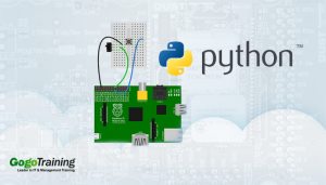 The Data Structures of Python | GogoTraining